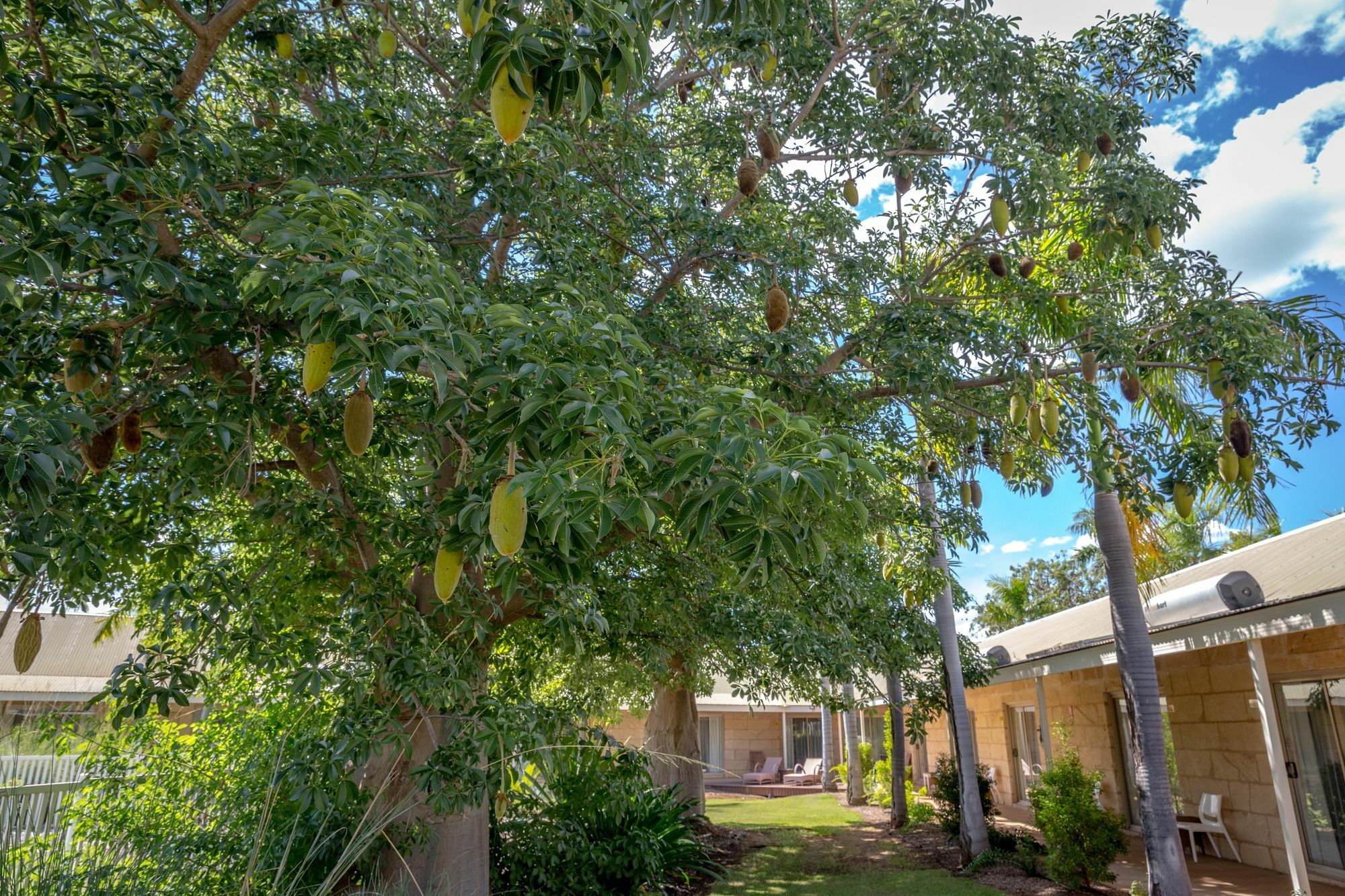 The Kimberley Grande Hotel Kununurra Exterior foto